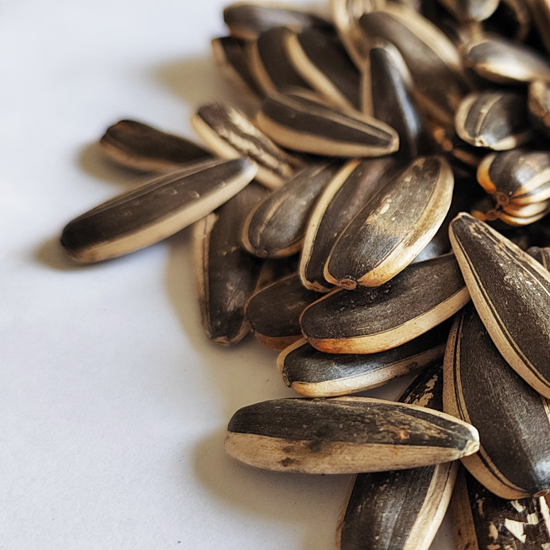 Black sunflower seeds in shell,Black sunflower seeds customized pack,Black sunflower seeds wholesale,sunflower seeds With Rich Oil