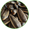 Black sunflower seeds in shell | Wholesale Black Sunflower Seeds For Snacking With Customized Packs