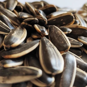 Black sunflower seeds in shell | Wholesale Black Sunflower Seeds For Snacking With Customized Packs