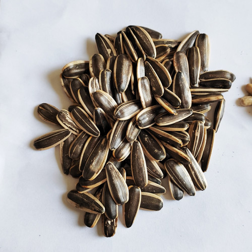 Black sunflower seeds in shell | Wholesale Black Sunflower Seeds For Snacking With Customized Packs