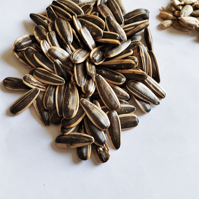 Black sunflower seeds in shell,Black sunflower seeds customized pack,Black sunflower seeds wholesale,sunflower seeds With Rich Oil