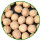 Wholesale Washed Walnuts in-shell New 2 xin 2 Walnuts in shell Top quality