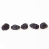 China Black Raisins | High-Grade Wholesale Black Currant Raisins with Customizable Packaging Options