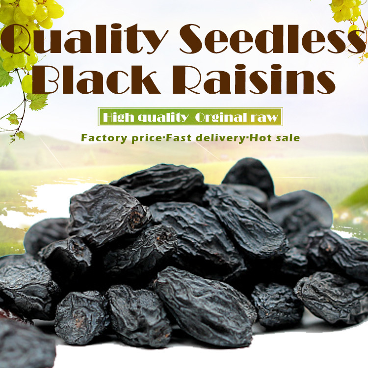 Bulk Dried Seedless Black Raisins