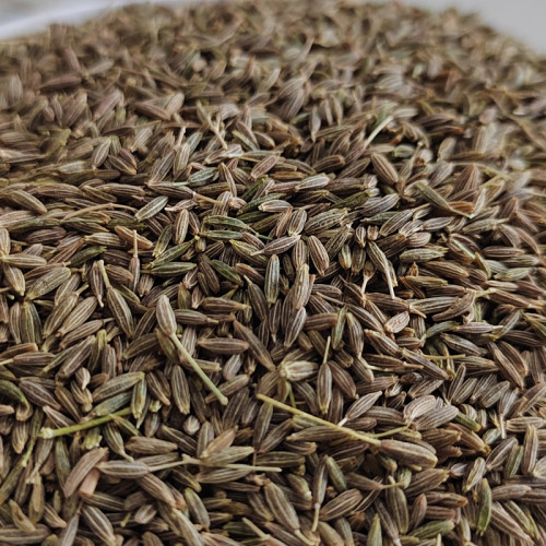 Cumin Seeds In Bulk | Factory Price Wholesale Cumin Seeds For Catering