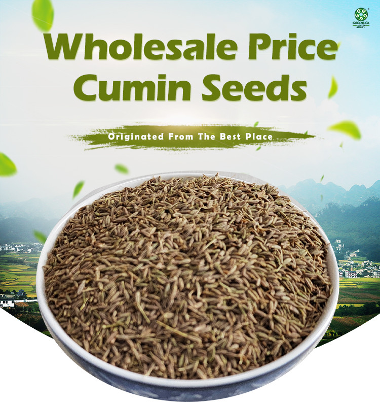 Factory Supply Cumin Seeds