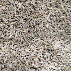 Factory Supply Cumin Seeds | 2024 Newest Crop Wholesale Price Quality Cumin Seeds For Dishes