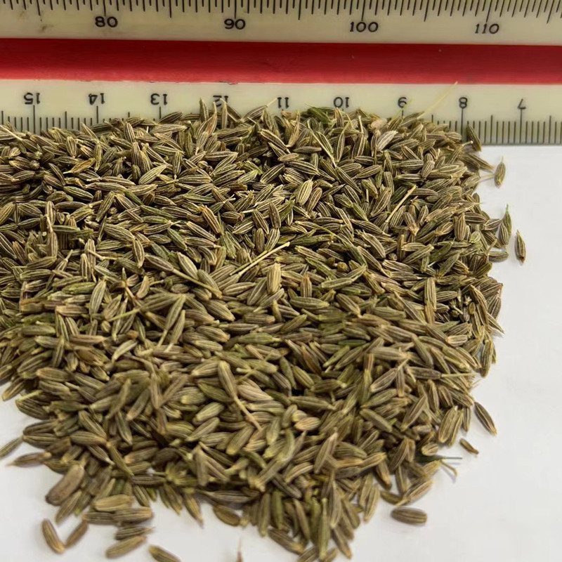 Factory Supply Cumin Seeds