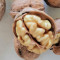 China Factory Newest Supply Quality 185 Walnut Kernels For Food Processing And Snacking