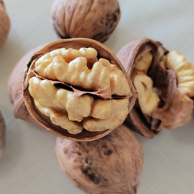 China Factory Newest Supply Quality 185 Walnut Kernels For Food Processing And Snacking