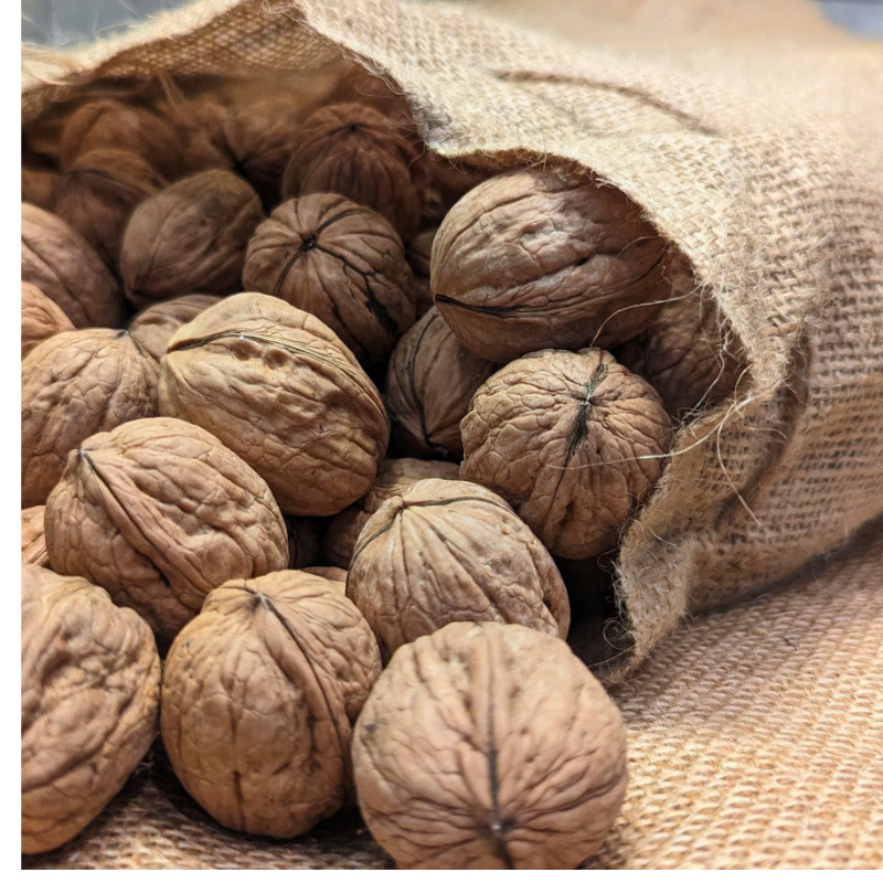 How to Choose Premium Walnuts: From Shell to Kernel