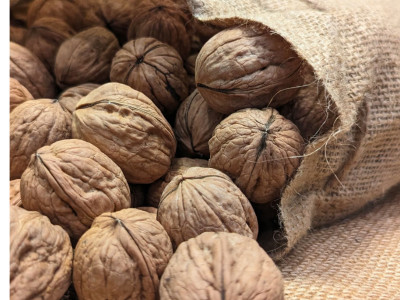 Comment choisir des noix de qualité supérieure : de la coque au noyau
