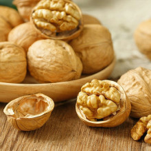 How to Extend the Shelf Life of Walnut Kernels – A Must-Read for Wholesalers & Retailers