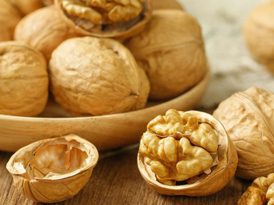 Comment prolonger la durée de conservation des cerneaux de noix ? Un guide indispensable pour les grossistes et les détaillants.