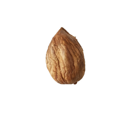 China Factory Manufacture Quality Wholesale Quality Hazelnuts