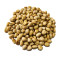 Factory Supply Directly Premium Wholesale Hazelnut Kernels