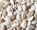 The Value of Edible Pumpkin Seeds | Nutritional Benefits and GOODLUCK’s Premium Supply