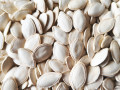 The Value of Edible Pumpkin Seeds | Nutritional Benefits and GOODLUCK’s Premium Supply