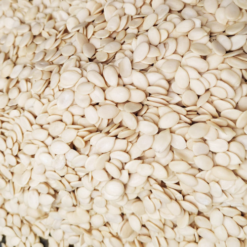 Premium Wholesale Watermelon Seed Kernels Bulk Export Supplier | Customized Packs