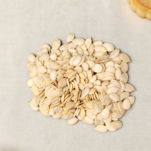 Premium Wholesale Watermelon Seed Kernels Bulk Export Supplier | Customized Packs