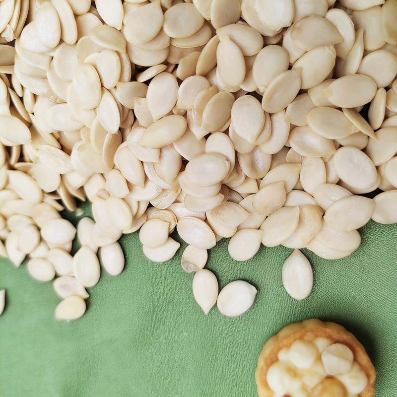 Wholesale Watermelon Seed Kernels