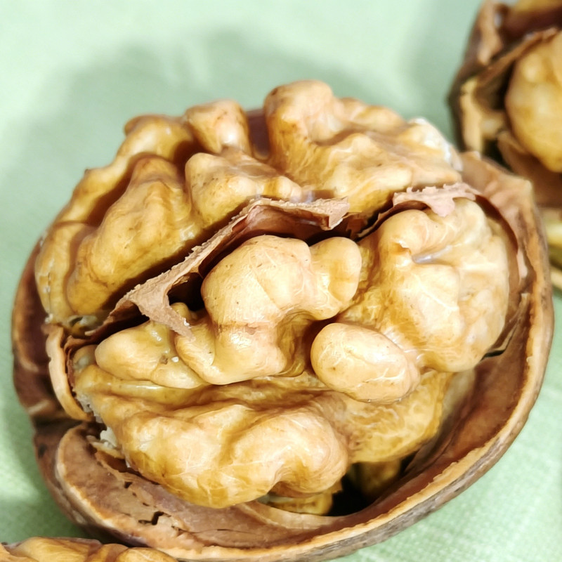Walnuts Wholesale