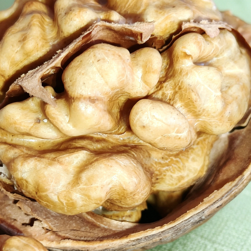 Walnuts Wholesale