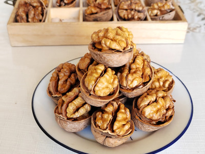 China Manufacture Quality Wholesale Paper-Thin Shell 185 Type Walnuts For Sale | HACCP BRC HALAL Certified Supplier