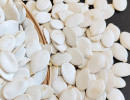 Guide d'achat B2B : Comment identifier les graines de citrouille comestibles de haute qualité en gros ?
