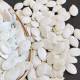 What Defines High-Quality Wholesale Edible Pumpkin Seeds: B2B Buying Guide