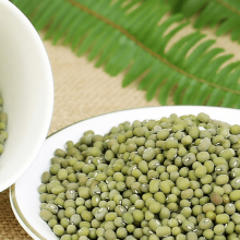 Will Mung Beans Go Bad?