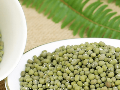 Les haricots mungo vont-ils se détériorer ?