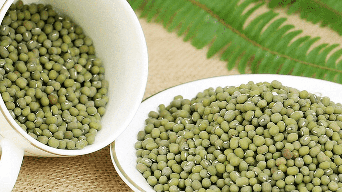 Will Mung Beans Go Bad?Mung Beans wholesale,Mung Beans china supplier