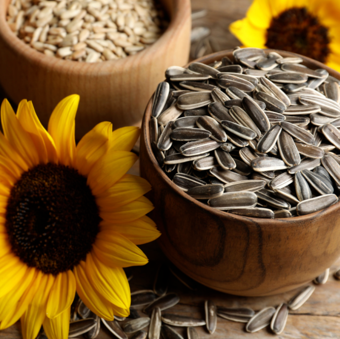 Sunflower Seeds and Heart Health: What You Need to Know