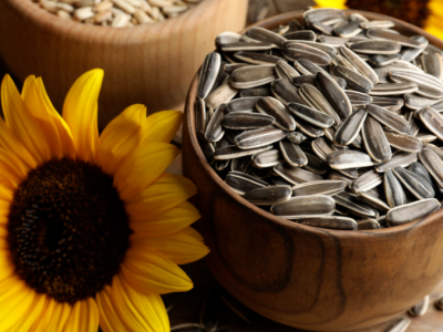 بذور عباد الشمس وصحة القلب: ما تحتاج إلى معرفته