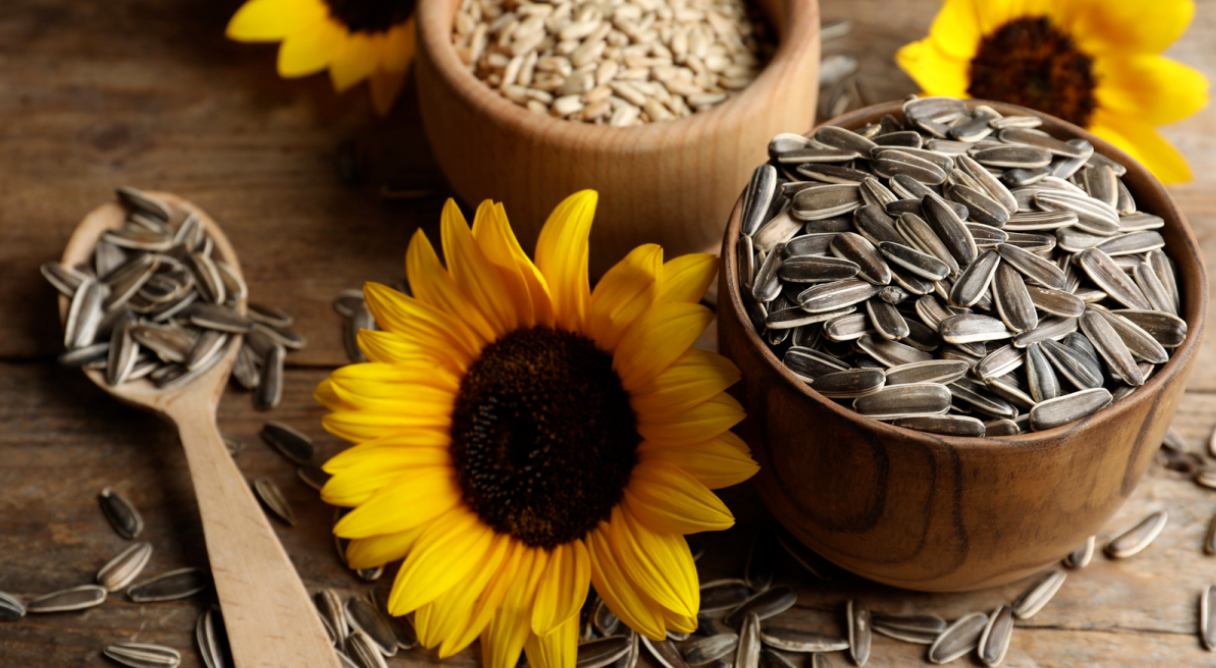 Sunflower Seeds