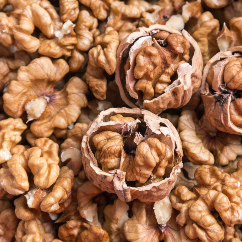 A Deep Dive into Walnut Nutrition: What Wholesale Buyers Should Consider