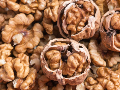 نظرة متعمقة على القيمة الغذائية للجوز: ما ينبغي على المشترين بالجملة مراعاته