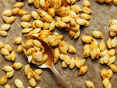 الدليل الشامل لشراء بذور اليقطين بالجملة