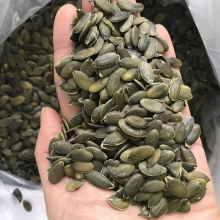 Common Pitfalls of Wholesale Pumpkin Seeds: How to Avoid Costly Mistakes