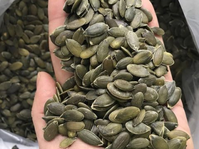 Pièges courants des graines de citrouille en gros : comment éviter les erreurs coûteuses