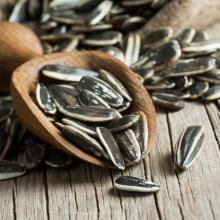 How to Identify and Avoid Low-Quality Sunflower Seeds in Wholesale Purchases