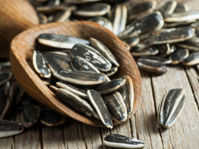 Comment identifier et éviter les graines de tournesol de mauvaise qualité lors des achats en gros