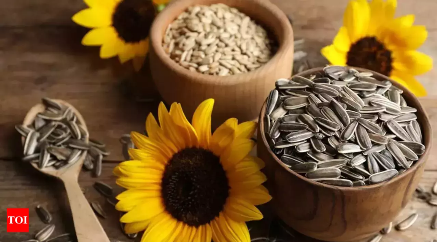 Black Sunflower Seeds Wholesale