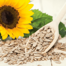 Sunflower Seeds and Their Anti-Inflammatory Properties: What Does Science Say?