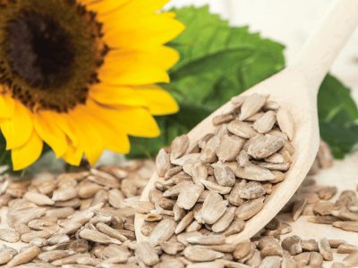 Graines de tournesol et leurs propriétés anti-inflammatoires : que dit la science ?