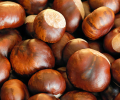 Why Chestnuts Are the Hidden Gem of the Nut Market: A Wholesale Perspective