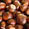Why Chestnuts Are the Hidden Gem of the Nut Market: A Wholesale Perspective