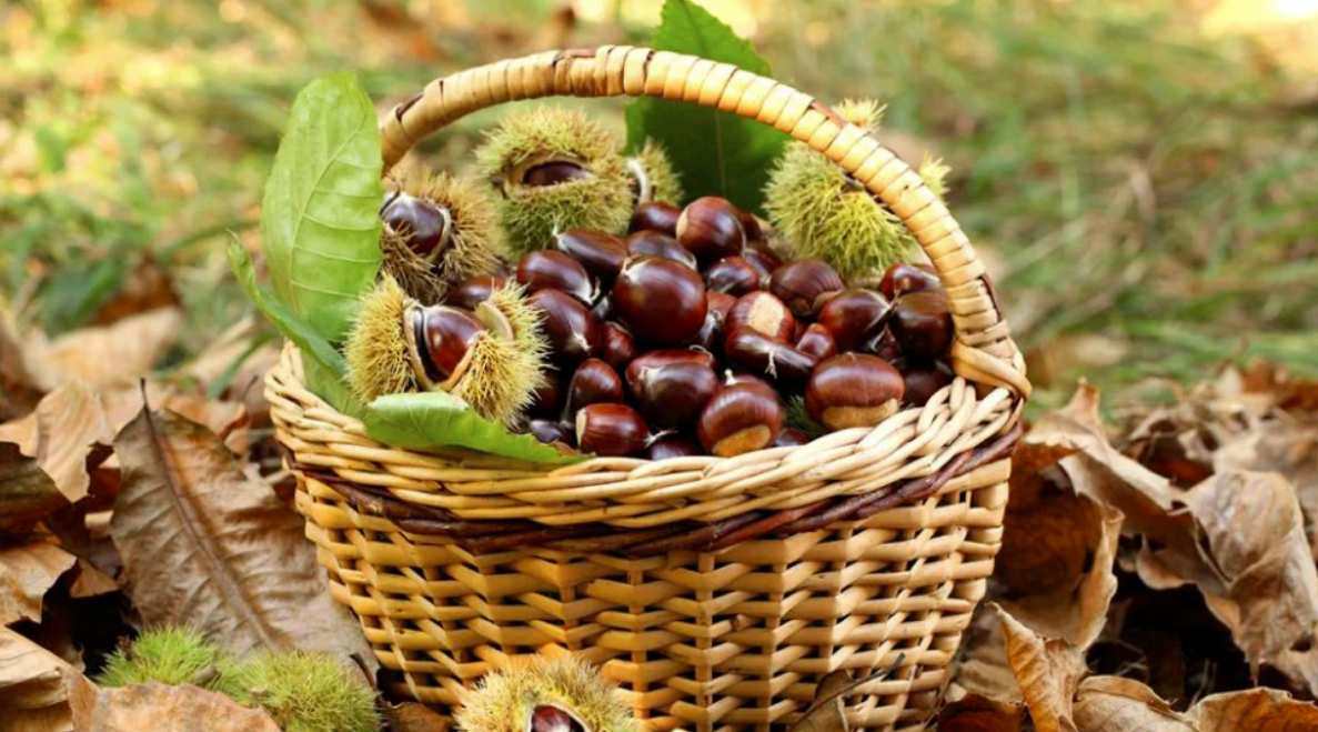 Chestnuts