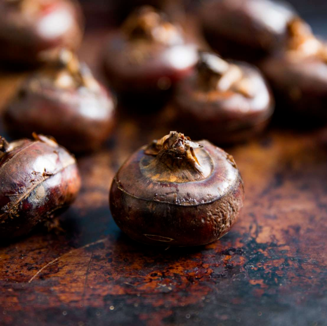 Chestnuts vs. Nuts: Which One Wins Out?